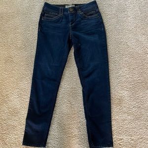 Democracy “Ab” technology Indigo blue jeans - size 6